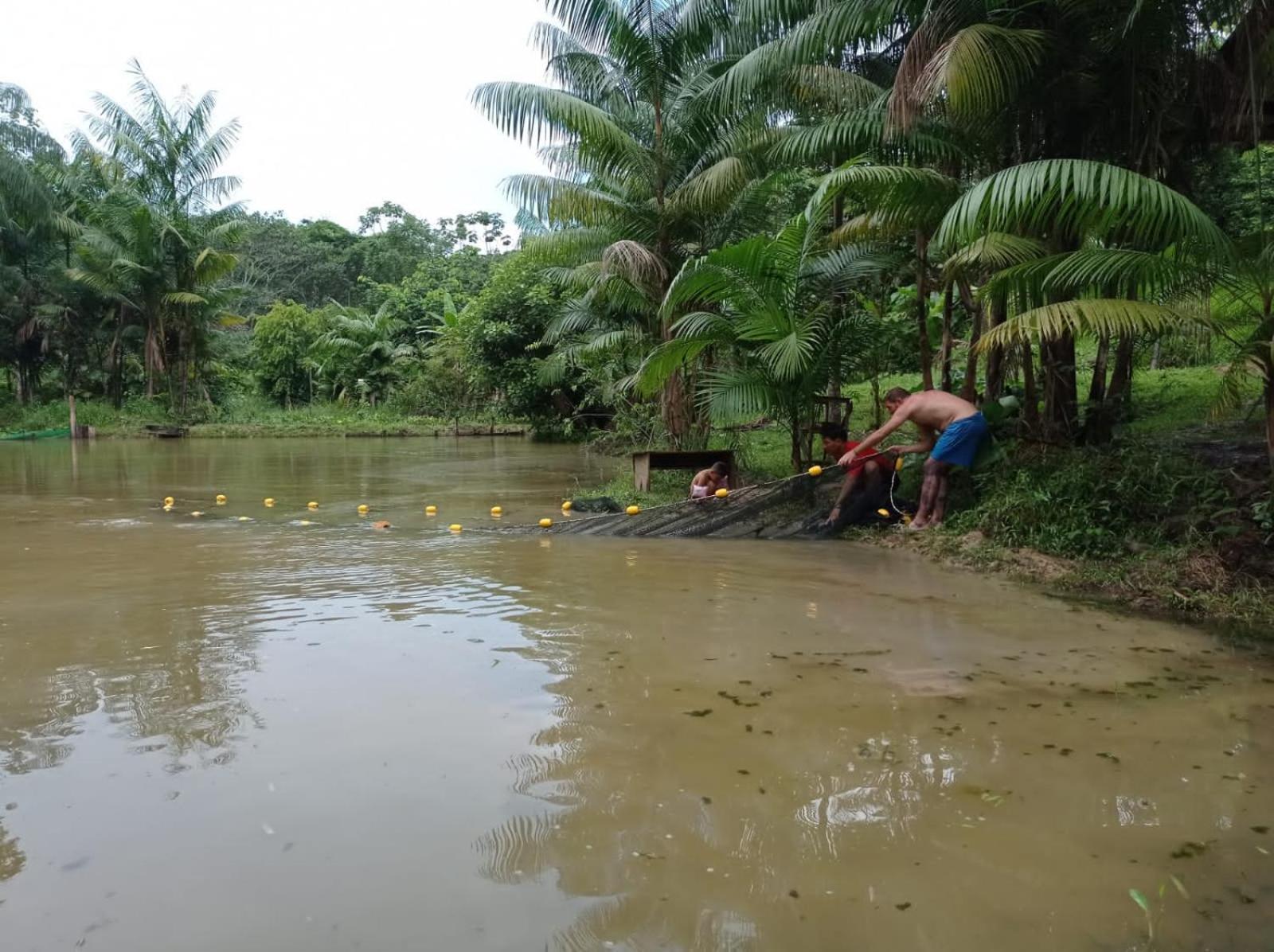 Dechi Puerto Narino