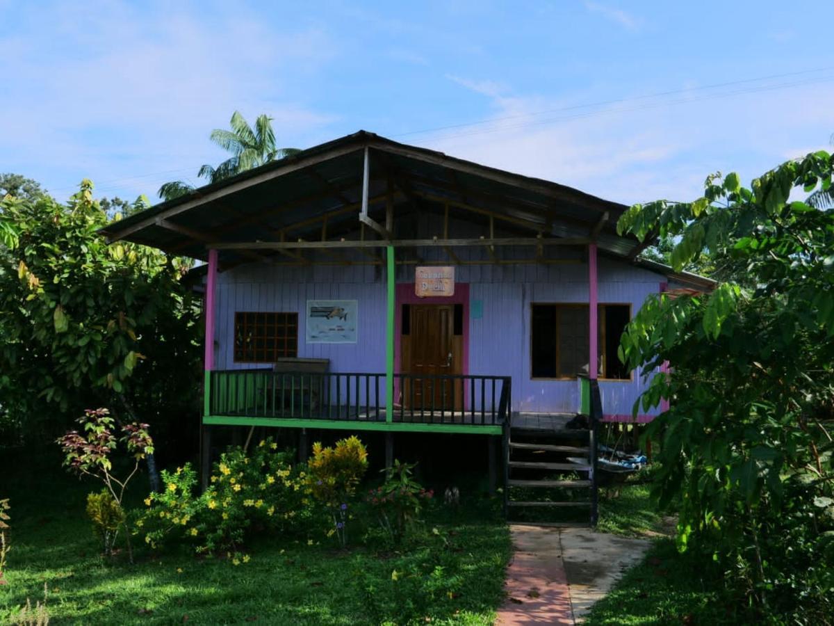 Apartment Dechi *