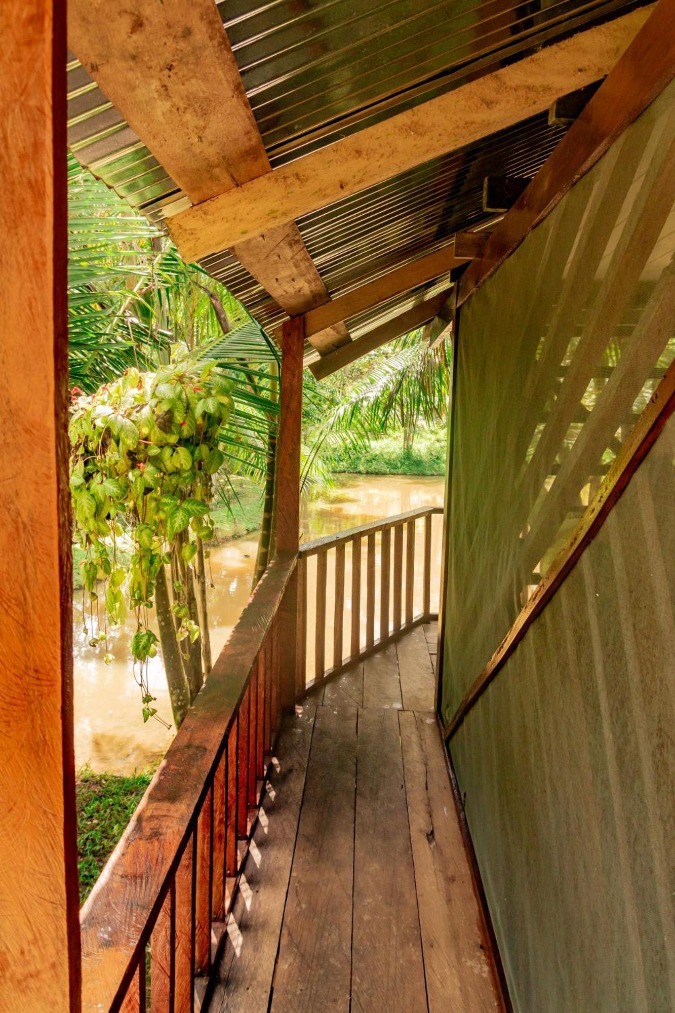Dechi Puerto Narino
