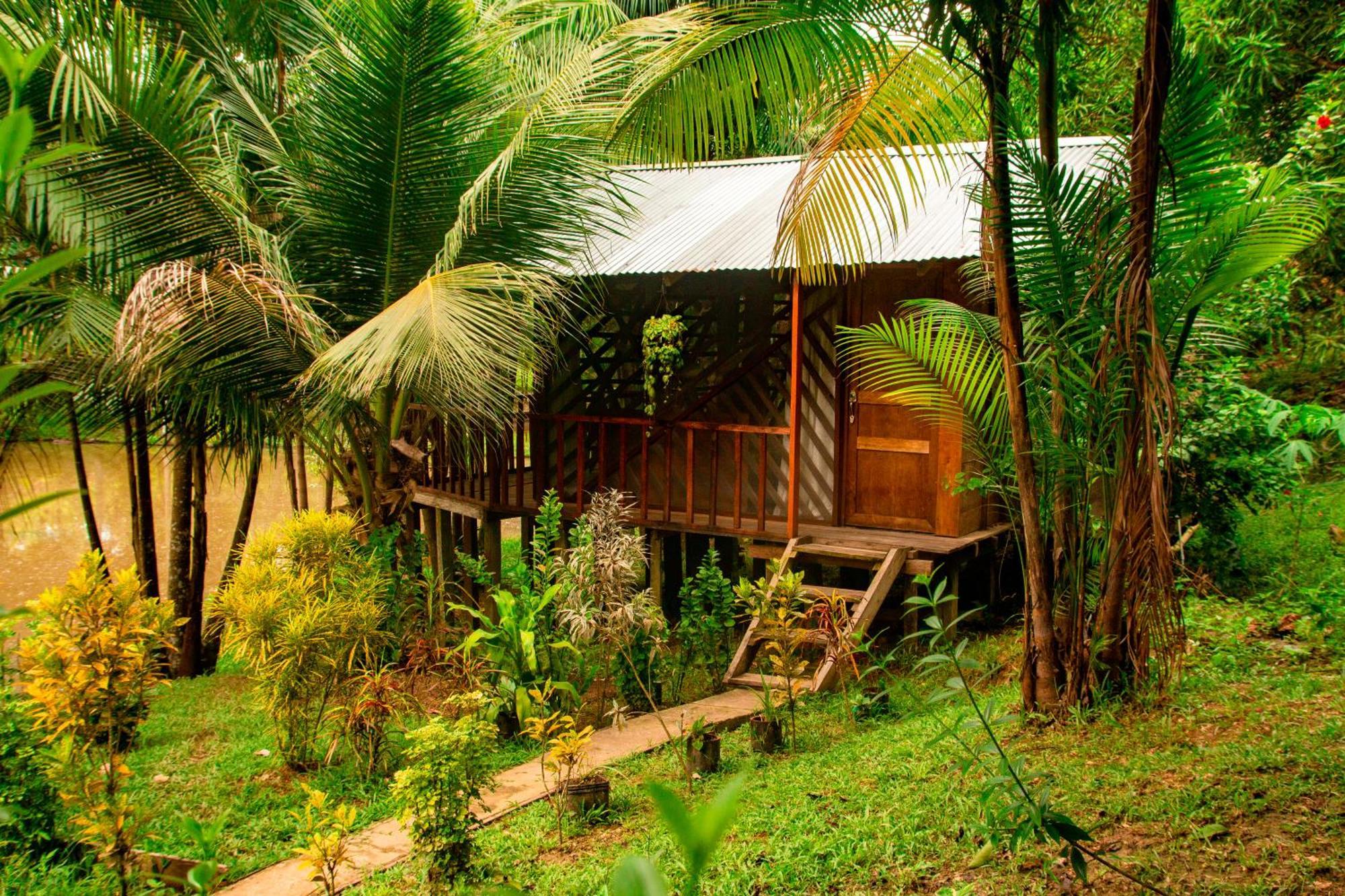 Dechi Puerto Narino